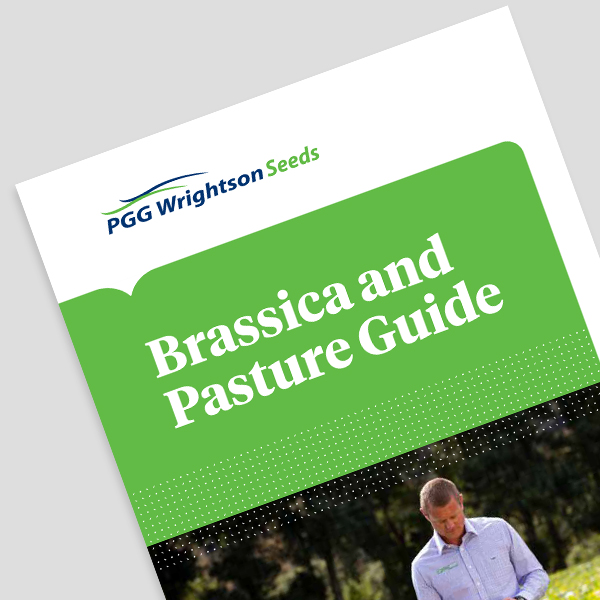 pasture-condition-scoring-pgg-wrightson-seeds